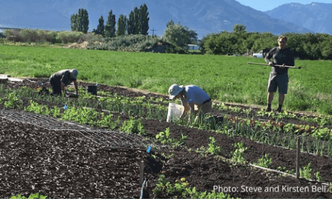 earth keepers workers in field